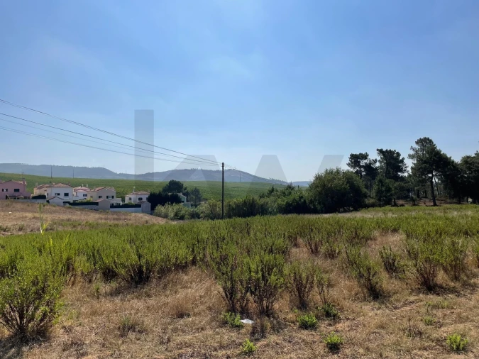 Terreno para Venda em Santa Maria, São Pedro e Matacães Foto 15