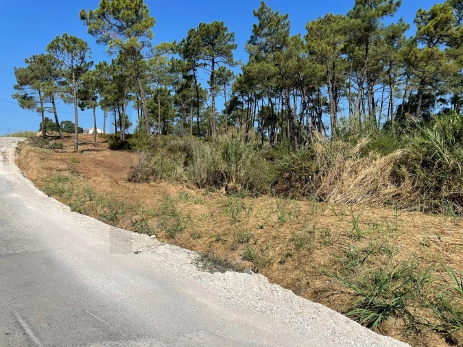 Terreno para Venda em Santa Maria, São Pedro e Matacães Foto 17