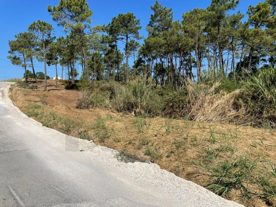 Terreno para Venda em Santa Maria, São Pedro e Matacães Foto 17