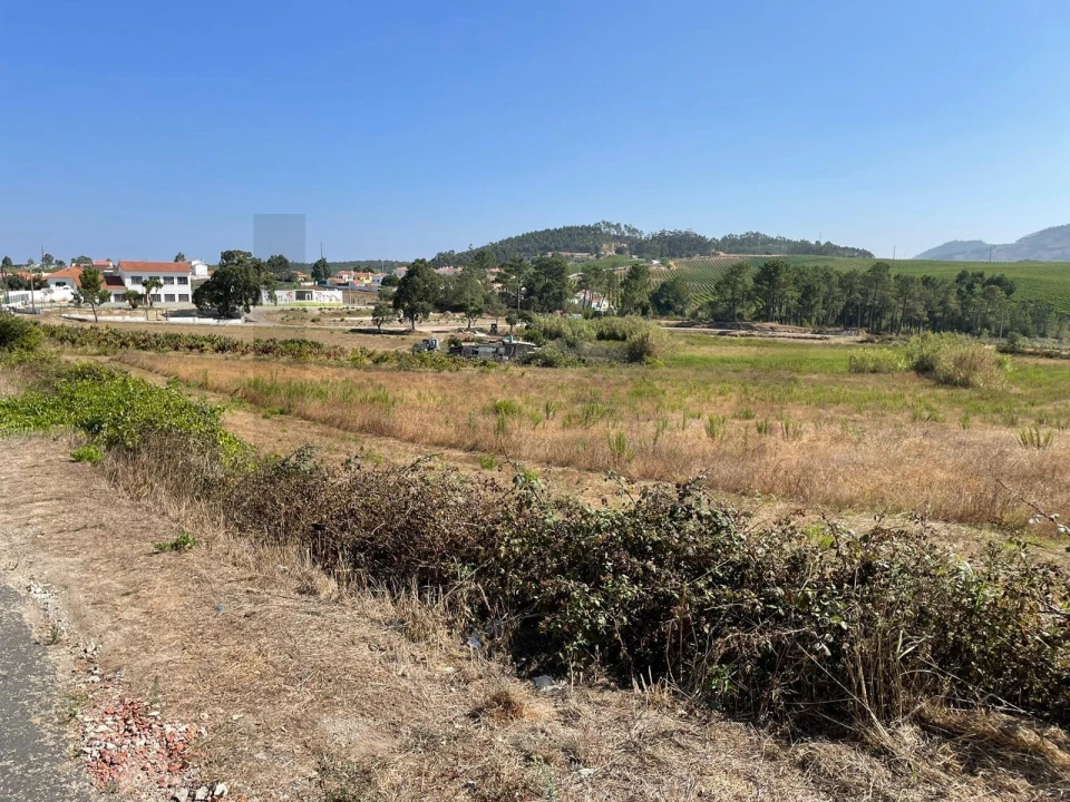 Terreno para Venda em Santa Maria, São Pedro e Matacães Foto 11