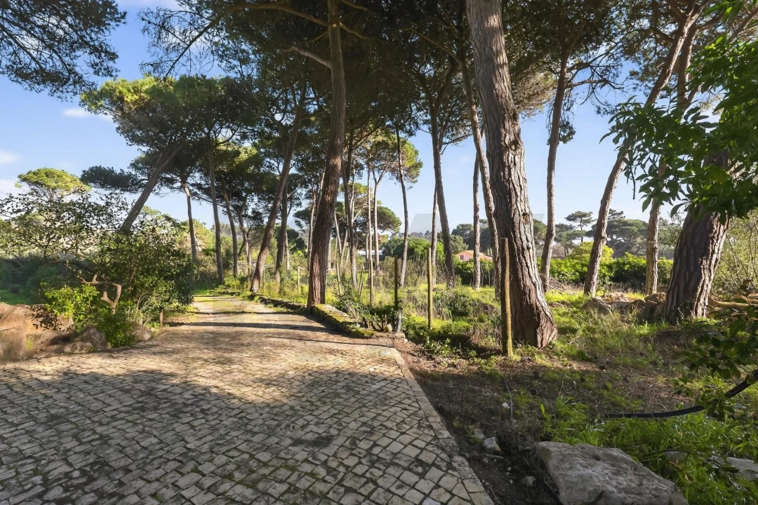 Moradia T4 para Venda em São João das Lampas e Terrugem Foto 4