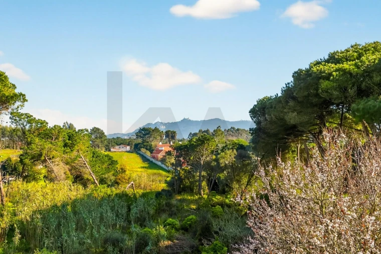 Moradia T4 para Venda em São João das Lampas e Terrugem Foto 2