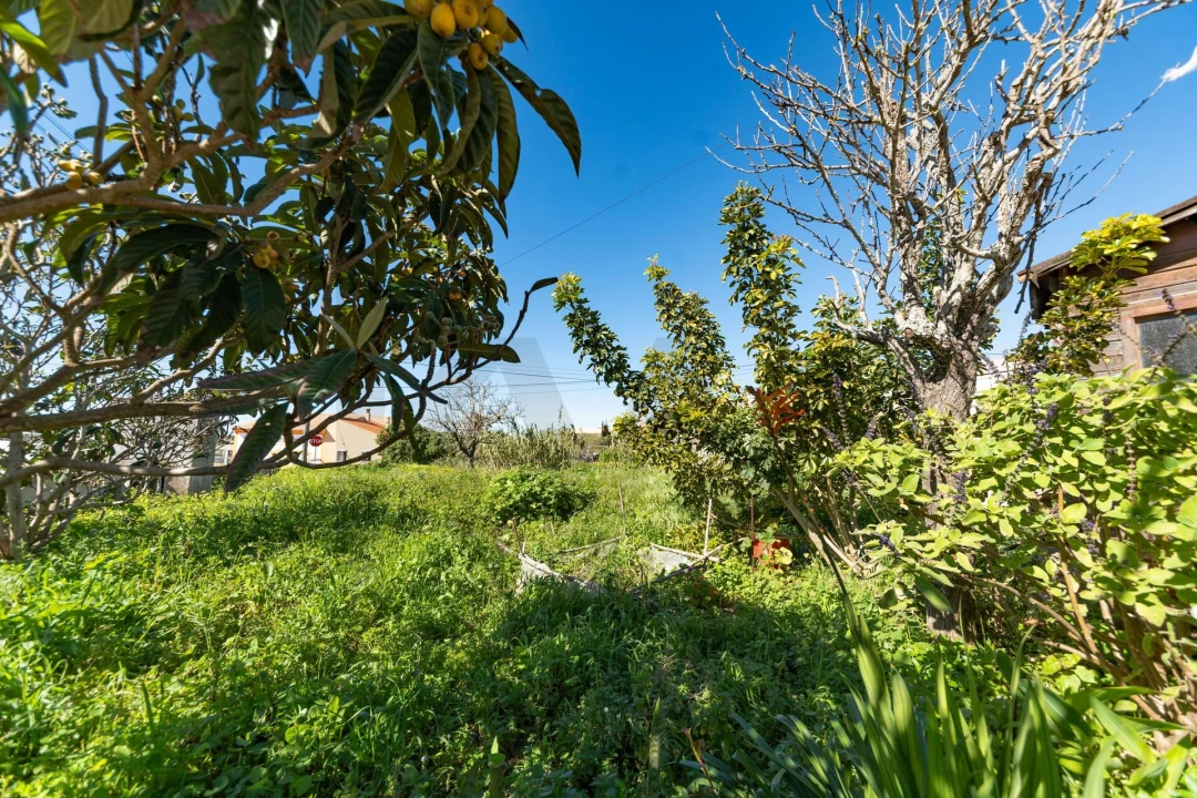 Moradia T4 para Venda em Vila de Sagres Foto 5