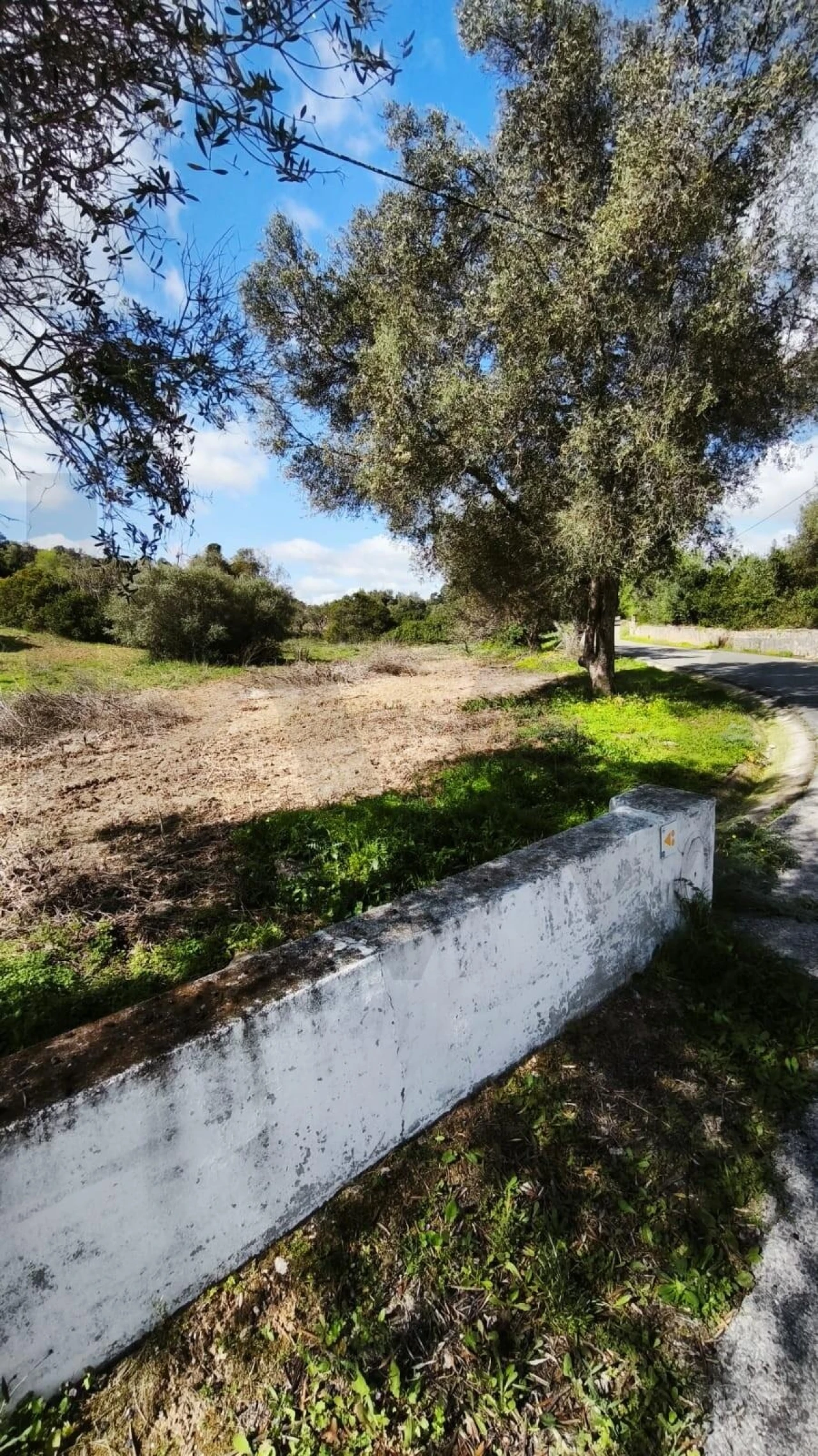 Terreno para Venda em Loule (São Clemente) Foto 6