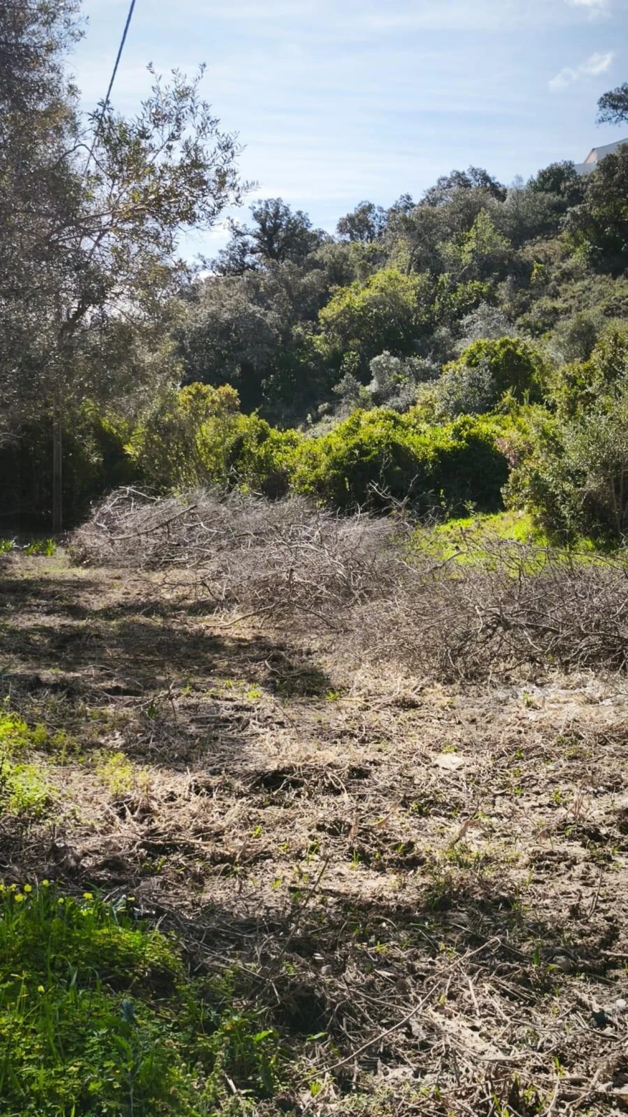 Terreno para Venda em Loule (São Clemente) Foto 19