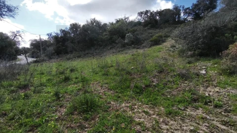 Terreno para Venda em Loule (São Clemente)