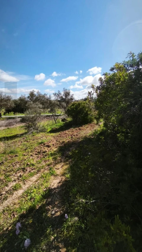 Terreno para Venda em Loule (São Clemente)