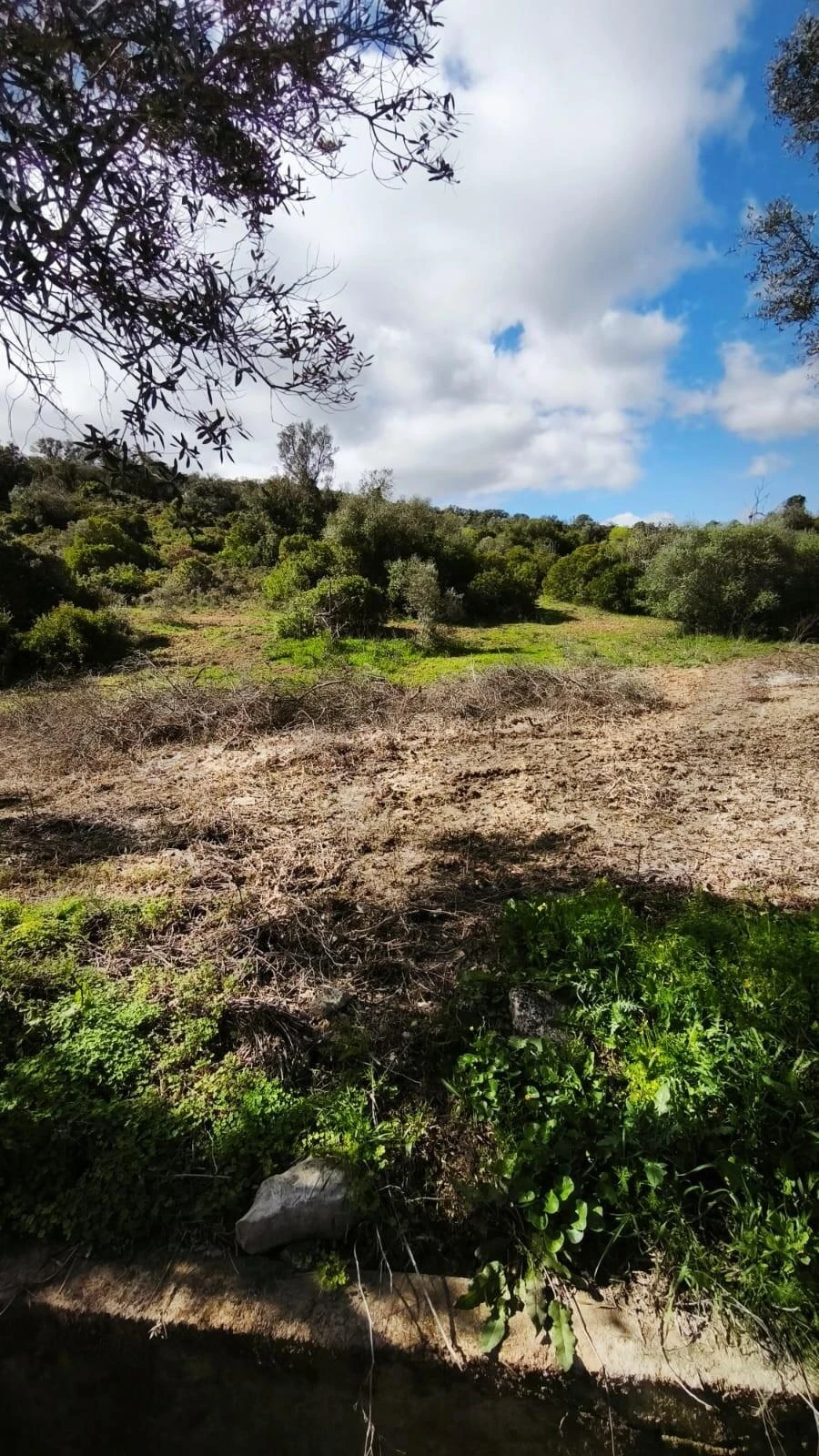 Terreno para Venda em Loule (São Clemente) Foto 8