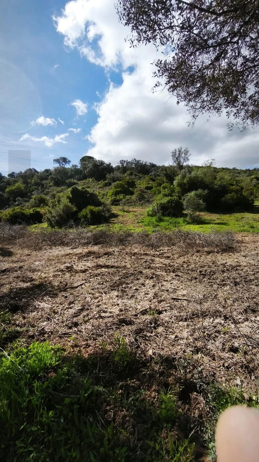 Terreno para Venda em Loule (São Clemente) Foto 9