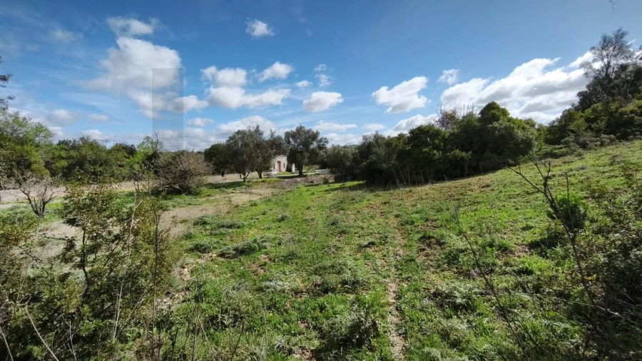 Terreno para Venda em Loule (São Clemente) Foto 20