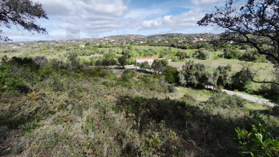 Terreno para Venda em Loule (São Clemente) Foto 3