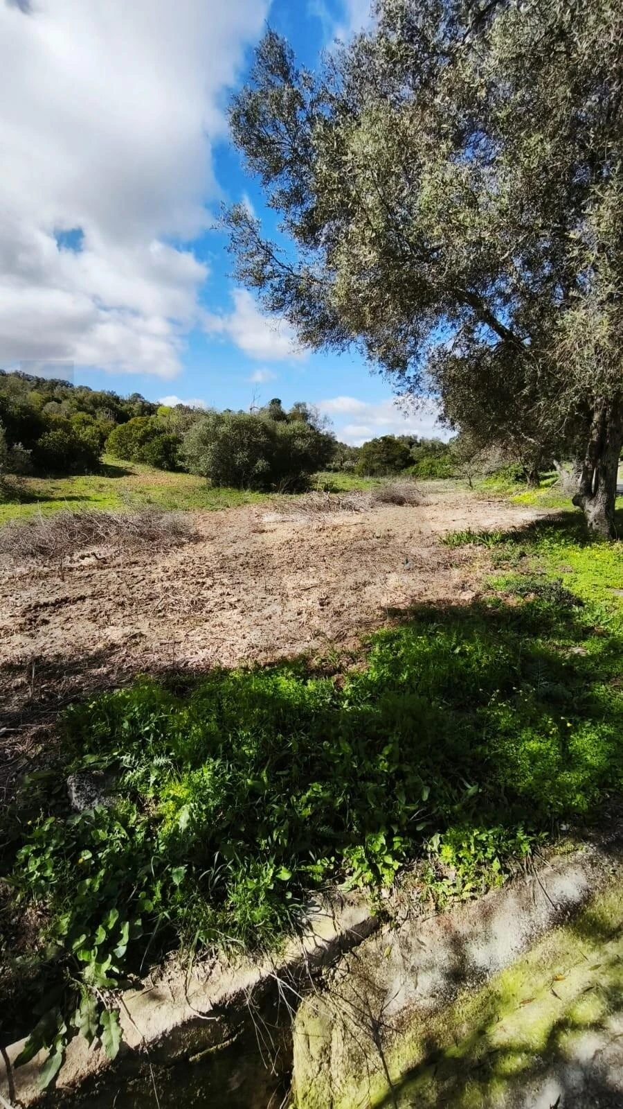 Terreno para Venda em Loule (São Clemente) Foto 7