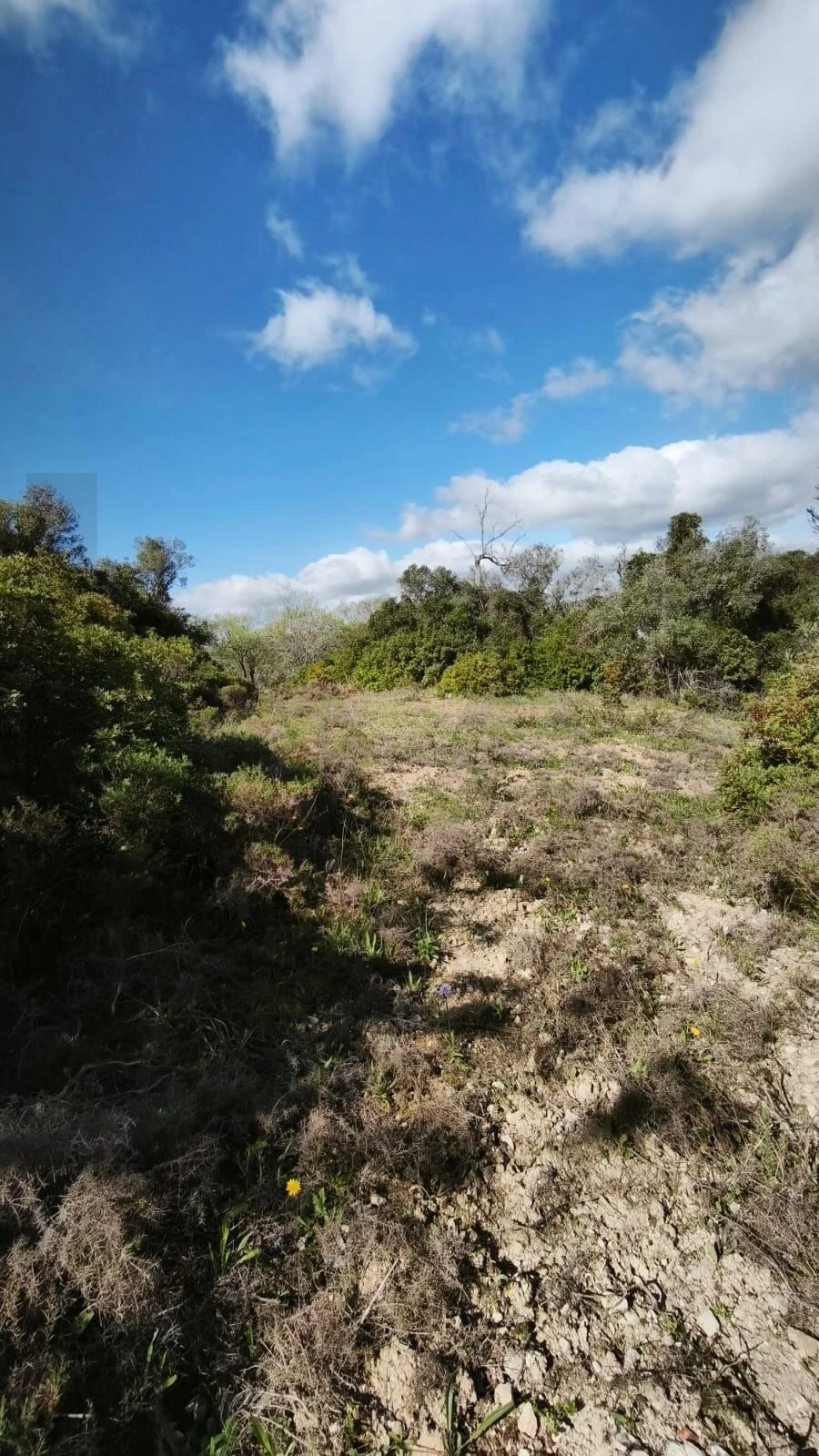 Terreno para Venda em Loule (São Clemente) Foto 16