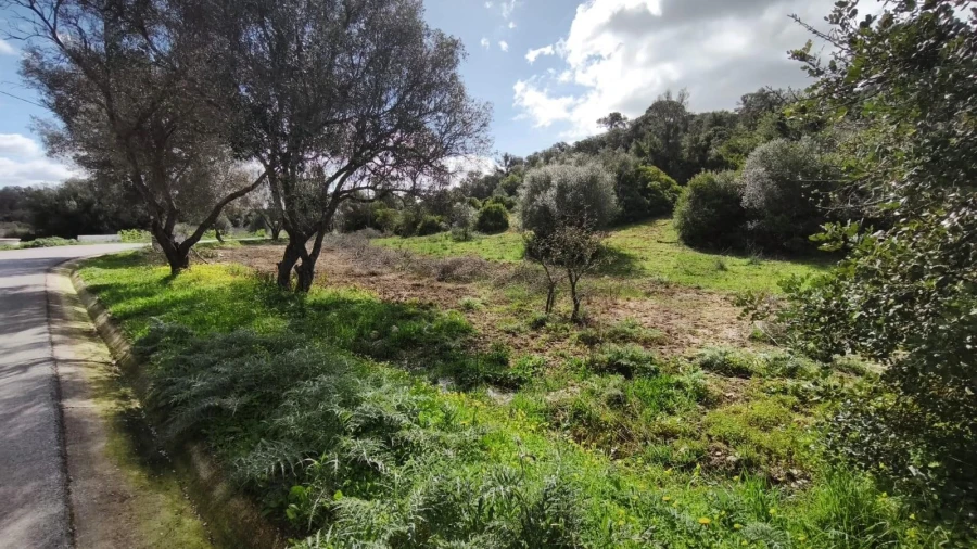 Terreno para Venda em Loule (São Clemente) Foto 23