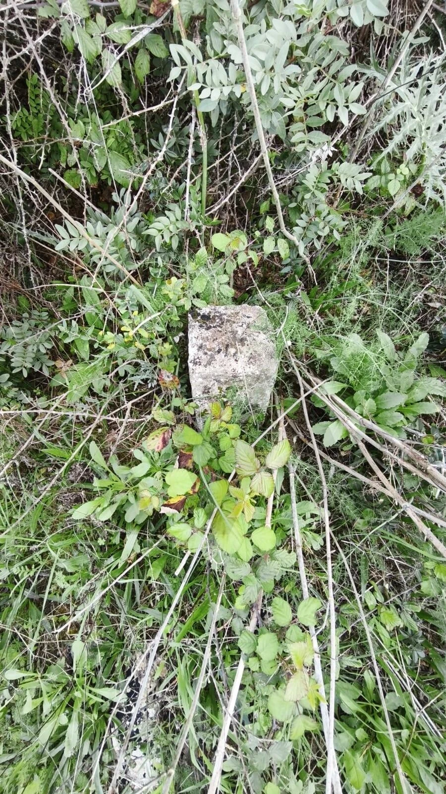 Terreno para Venda em Loule (São Clemente) Foto 18