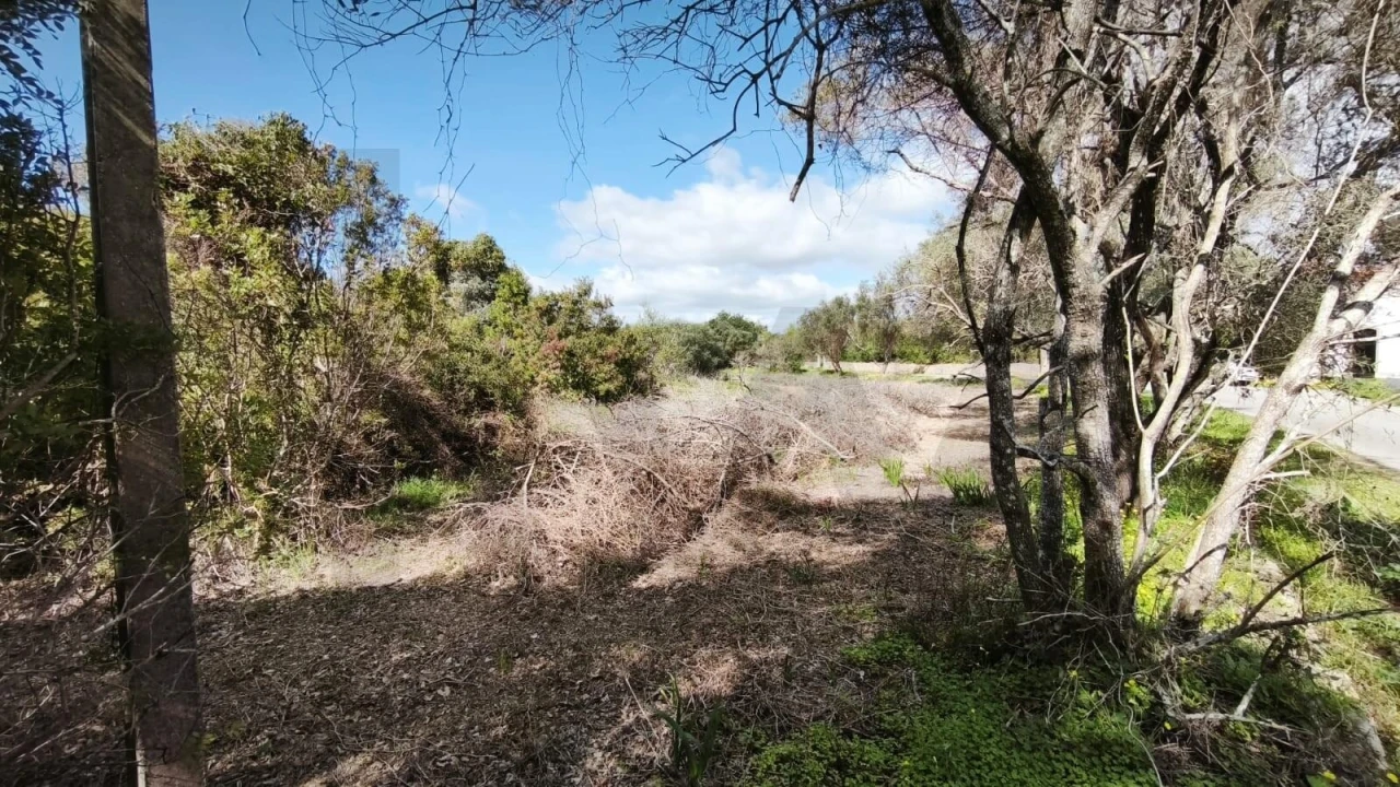 Terreno para Venda em Loule (São Clemente) Foto 25