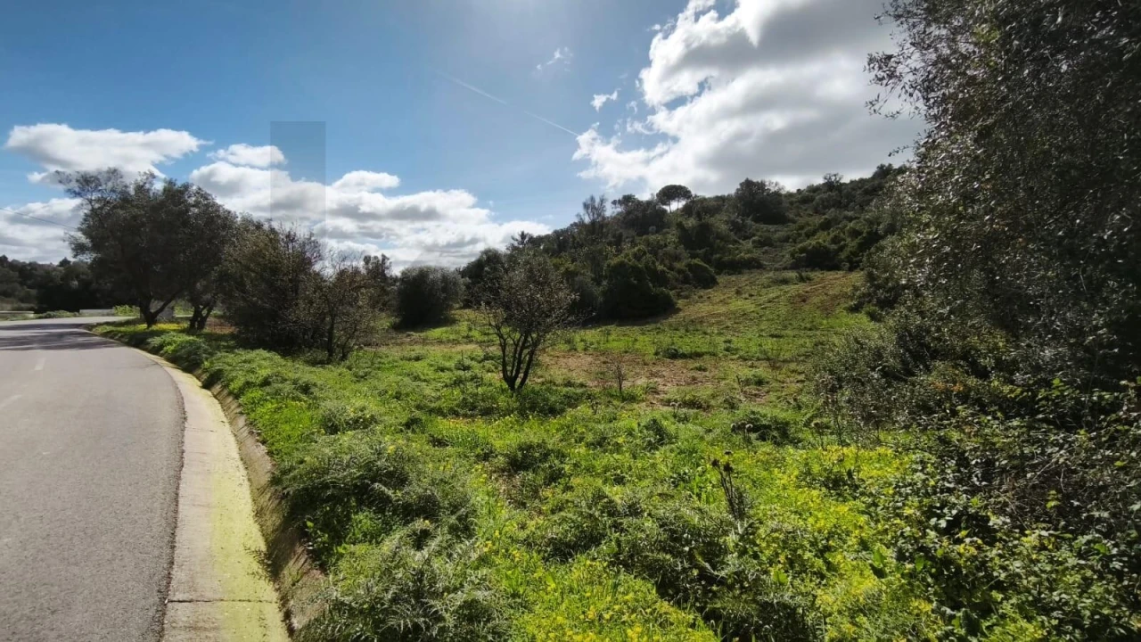 Terreno para Venda em Loule (São Clemente) Foto 22