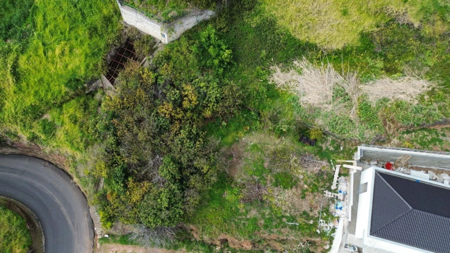 Terreno para Venda em Ribeira Brava Foto 1