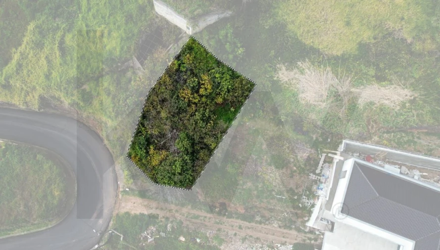 Terreno para Venda em Ribeira Brava Foto 16