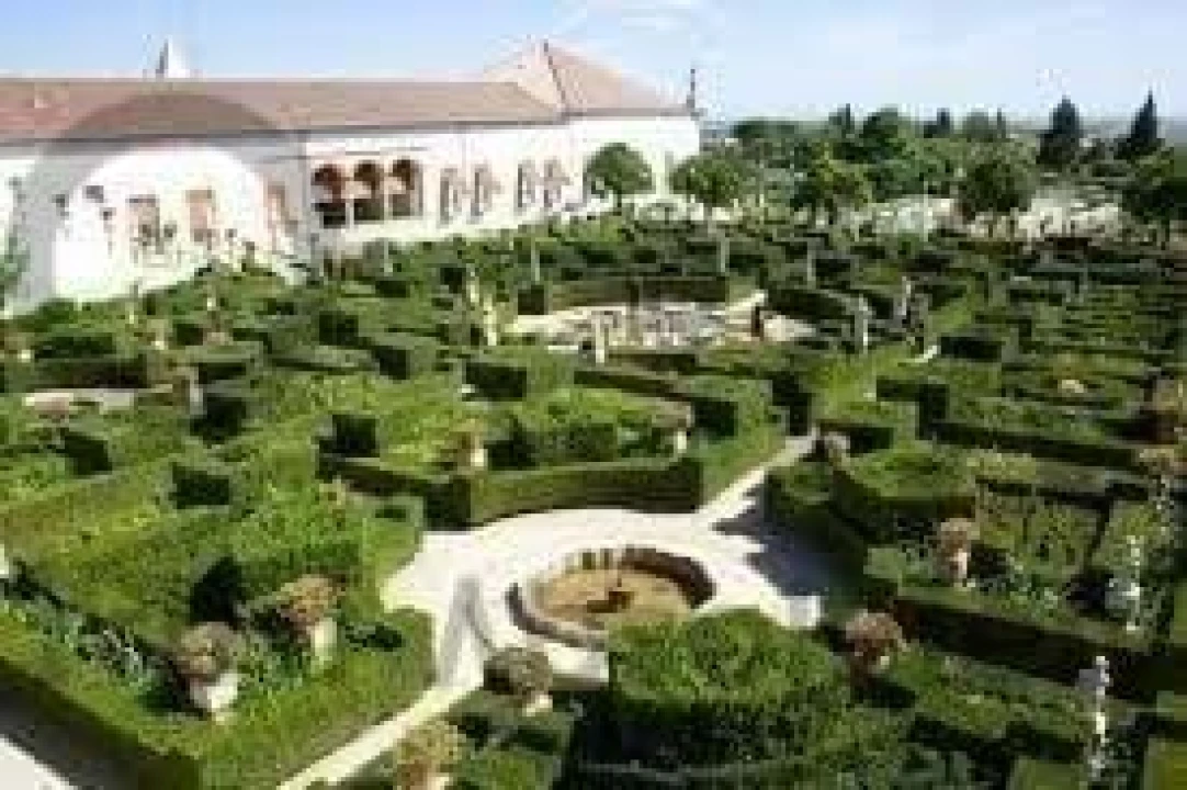 Negócio para Venda em Castelo Branco Foto 9