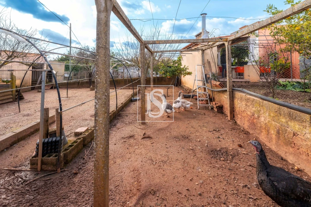 Moradia T3 para Venda em Alte Foto 35