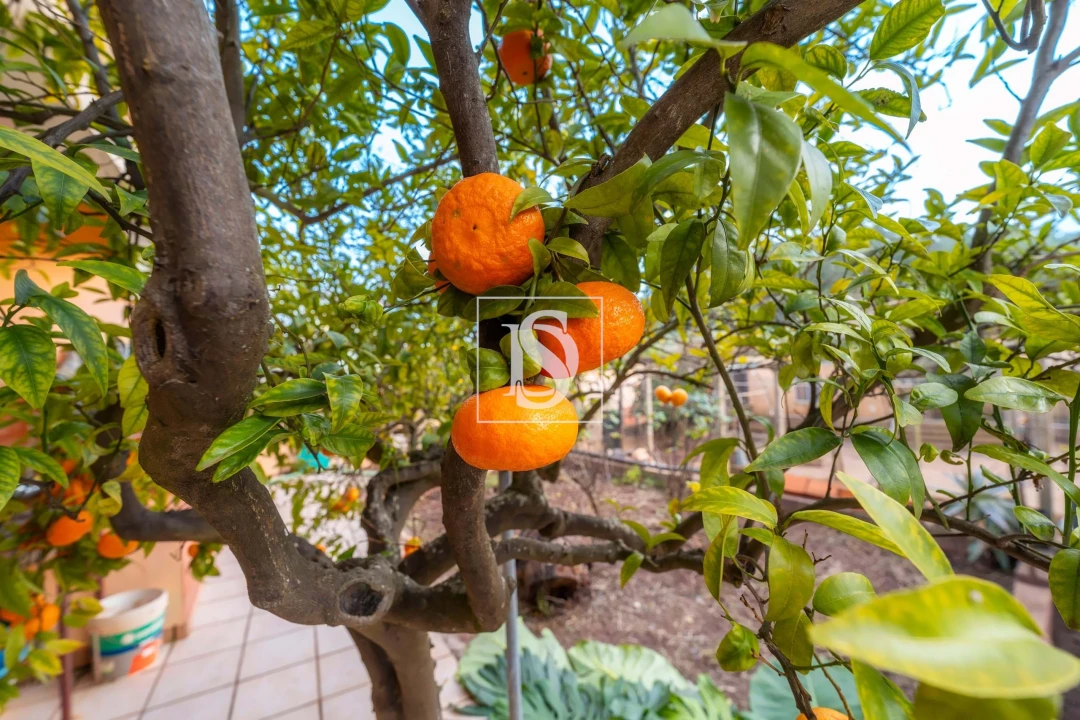 Moradia T3 para Venda em Alte Foto 34