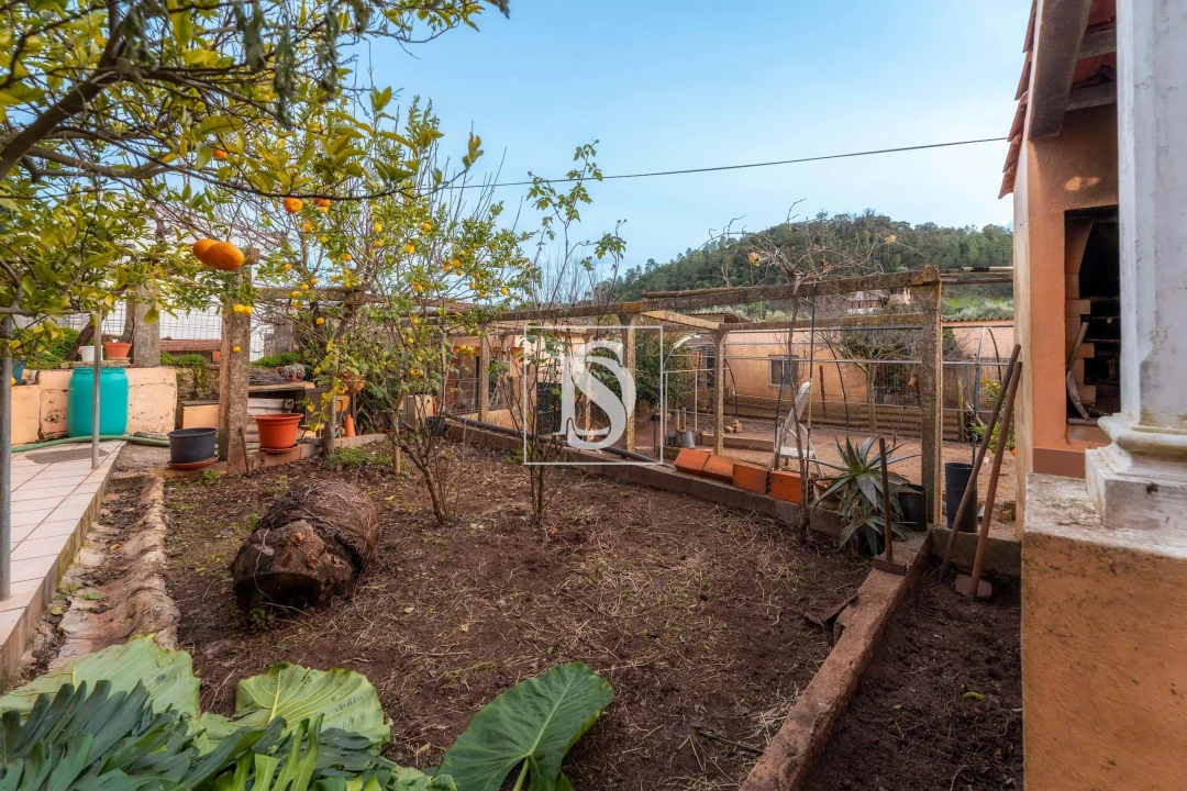 Moradia T3 para Venda em Alte Foto 33