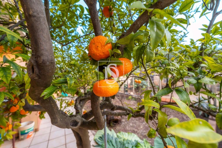 Moradia T3 para Venda em Alte Foto 34