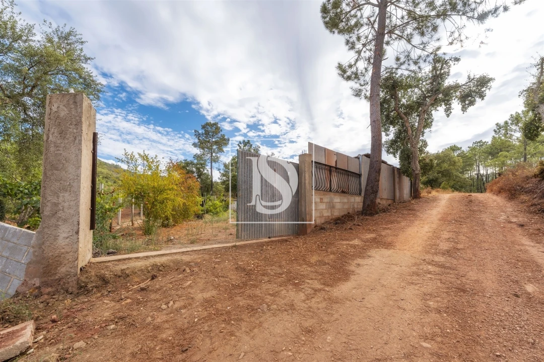 Apartamento para Venda em Alte Foto 6