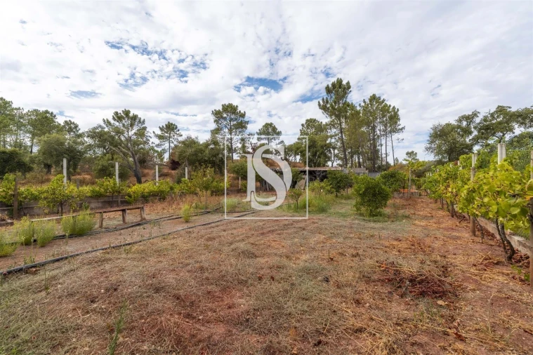 Apartamento para Venda em Alte Foto 31