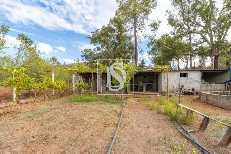 Apartamento para Venda em Alte Foto 29