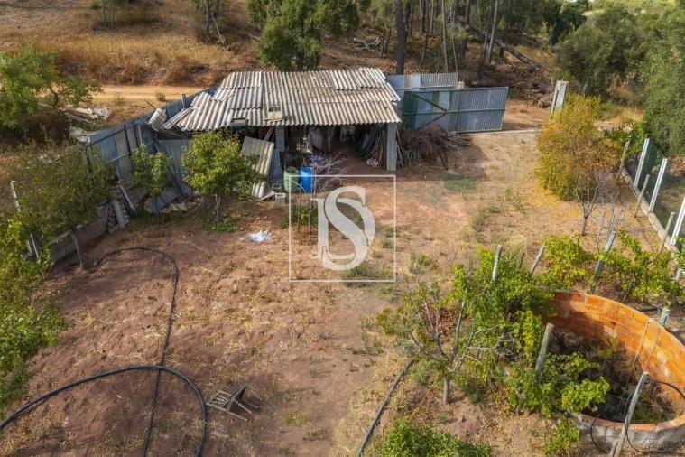 Apartamento para Venda em Alte Foto 10