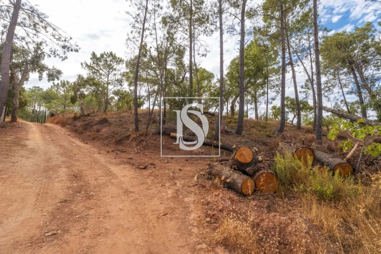 Apartamento para Venda em Alte Foto 9