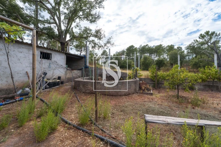 Apartamento para Venda em Alte Foto 26