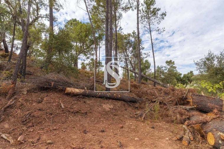 Apartamento para Venda em Alte Foto 14