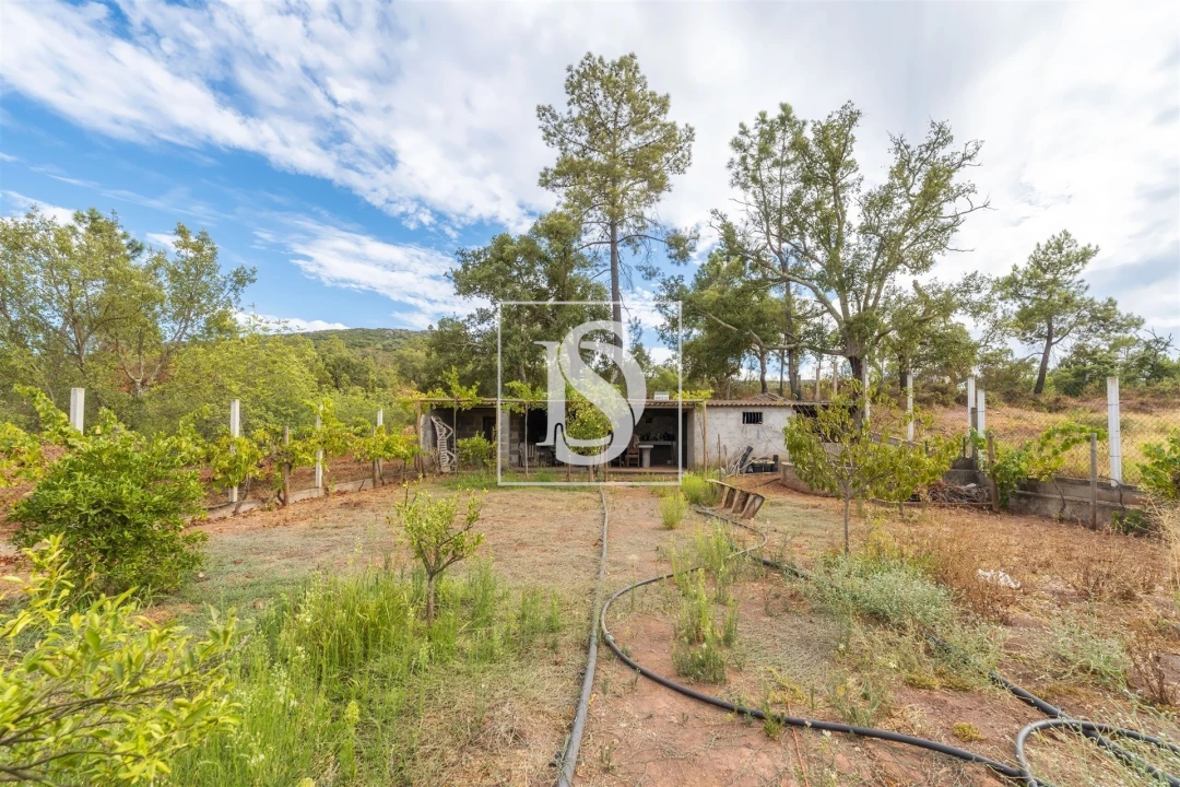 Apartamento para Venda em Alte Foto 16