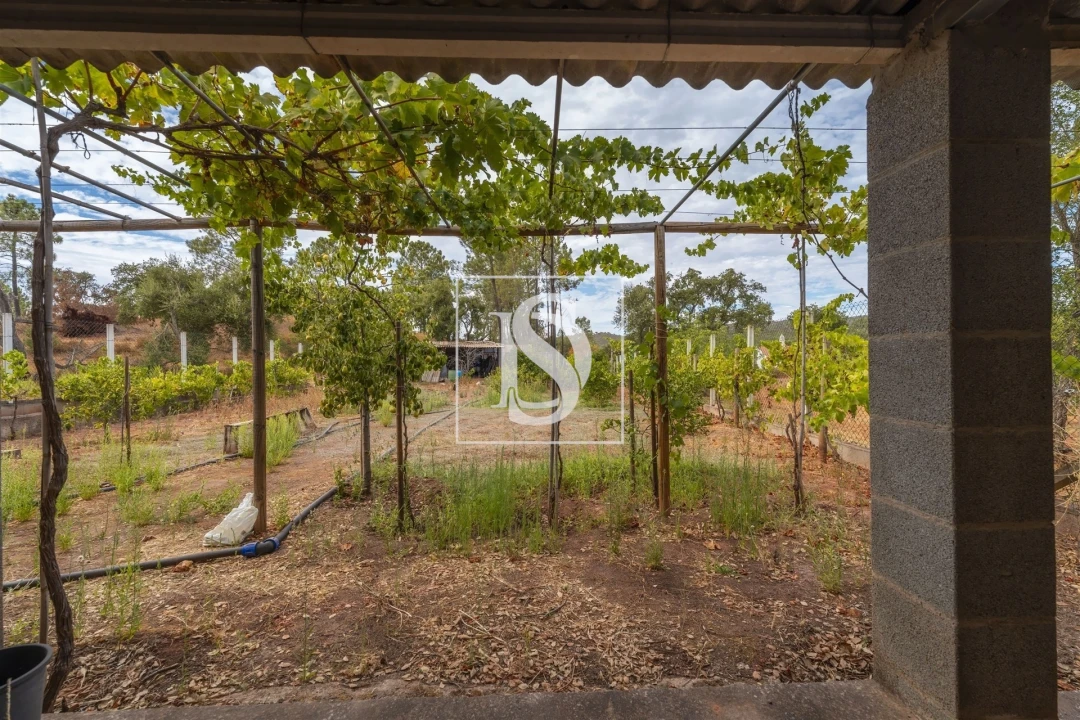 Apartamento para Venda em Alte Foto 3