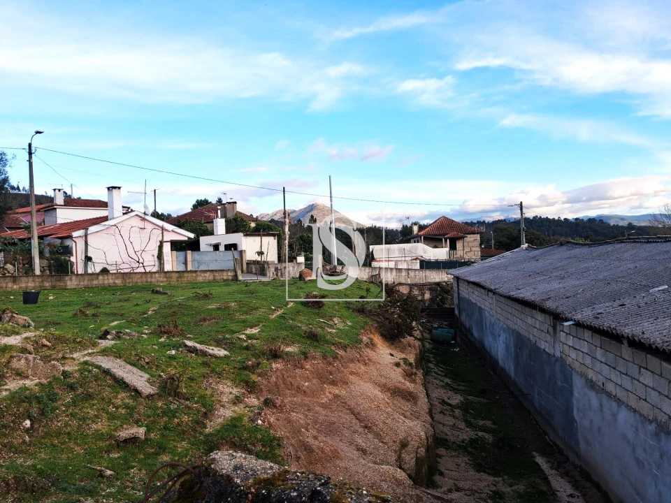 Terreno para Venda em Canedo de Basto e Corgo Foto 2