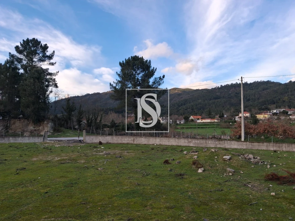 Terreno para Venda em Canedo de Basto e Corgo Foto 8