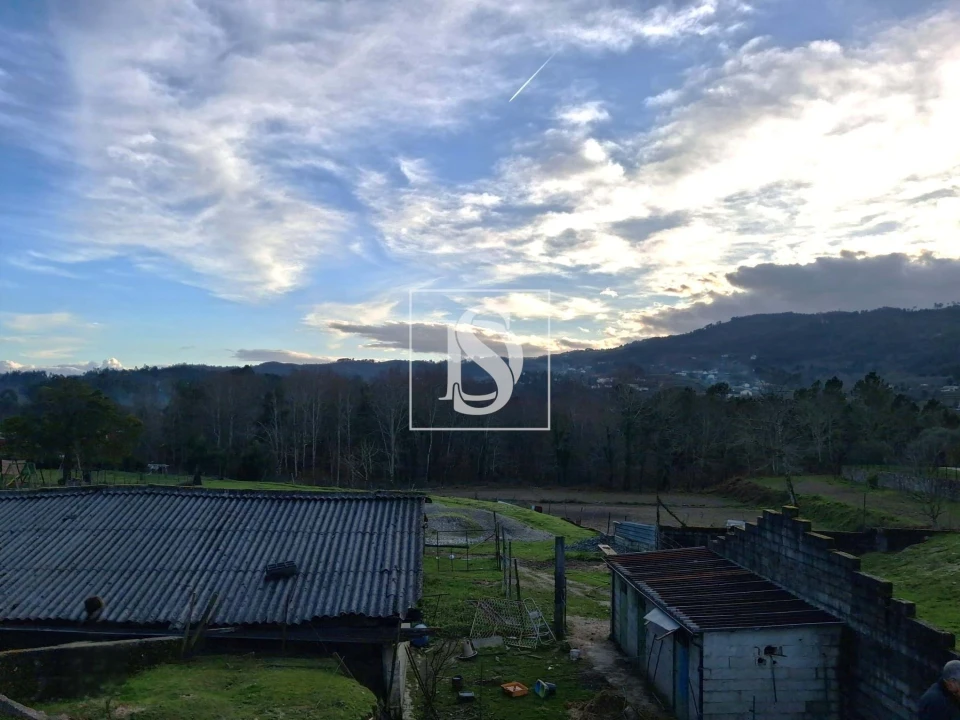 Terreno para Venda em Canedo de Basto e Corgo Foto 6
