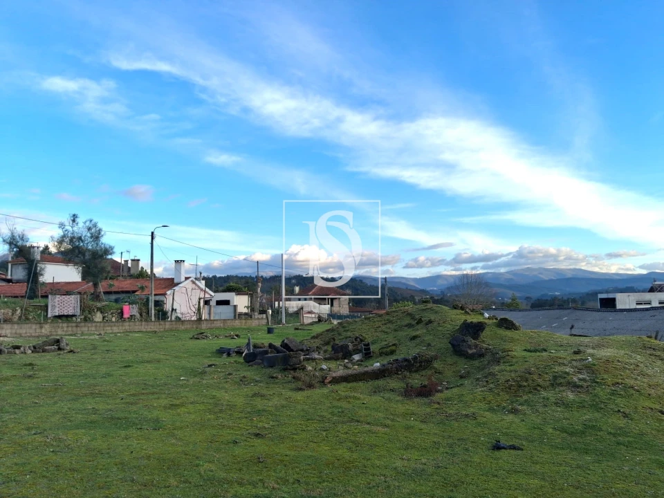 Terreno para Venda em Canedo de Basto e Corgo Foto 5