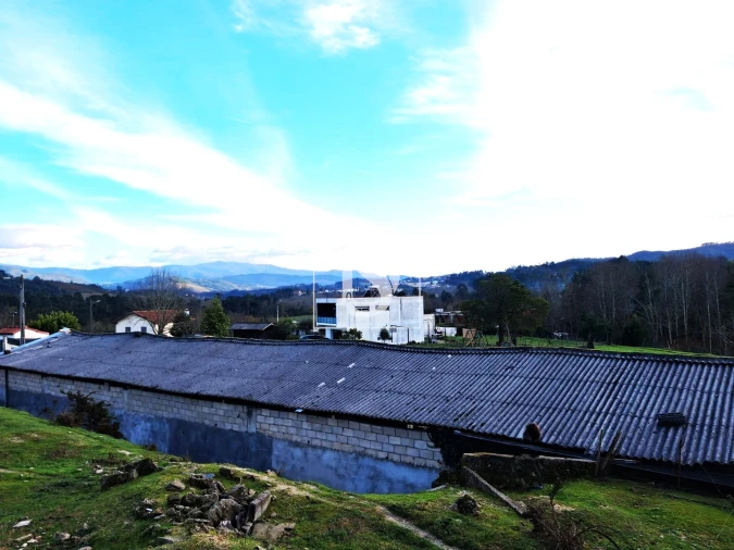 Terreno para Venda em Canedo de Basto e Corgo Foto 7