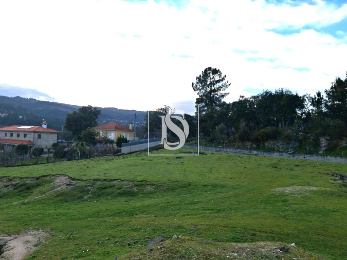 Terreno para Venda em Canedo de Basto e Corgo Foto 3