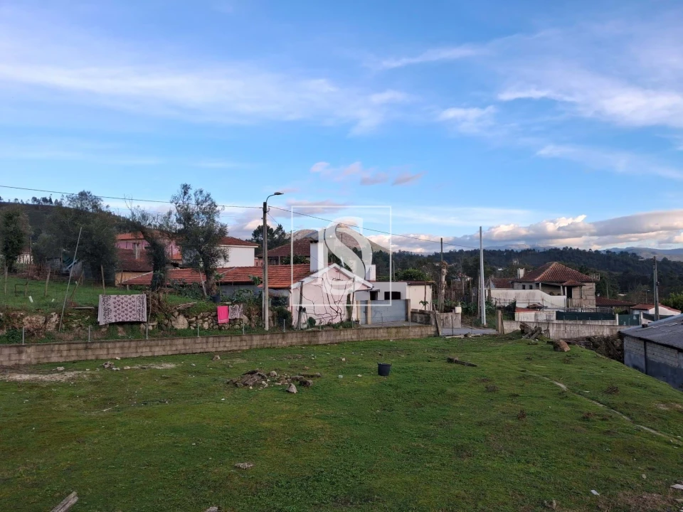 Terreno para Venda em Canedo de Basto e Corgo Foto 9