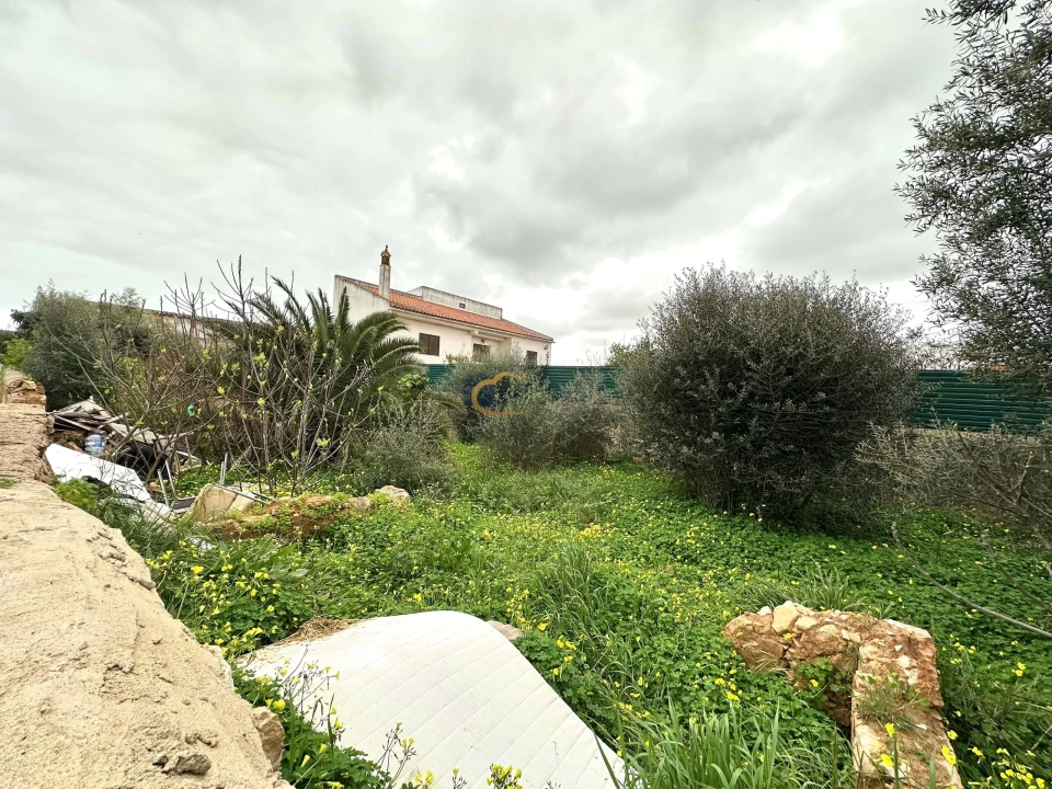 Terreno para Venda em São Silvestre Foto 2