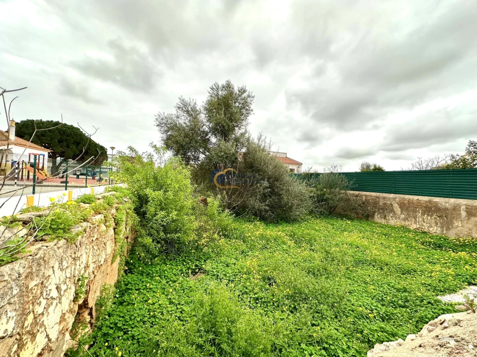 Terreno para Venda em São Silvestre Foto 4