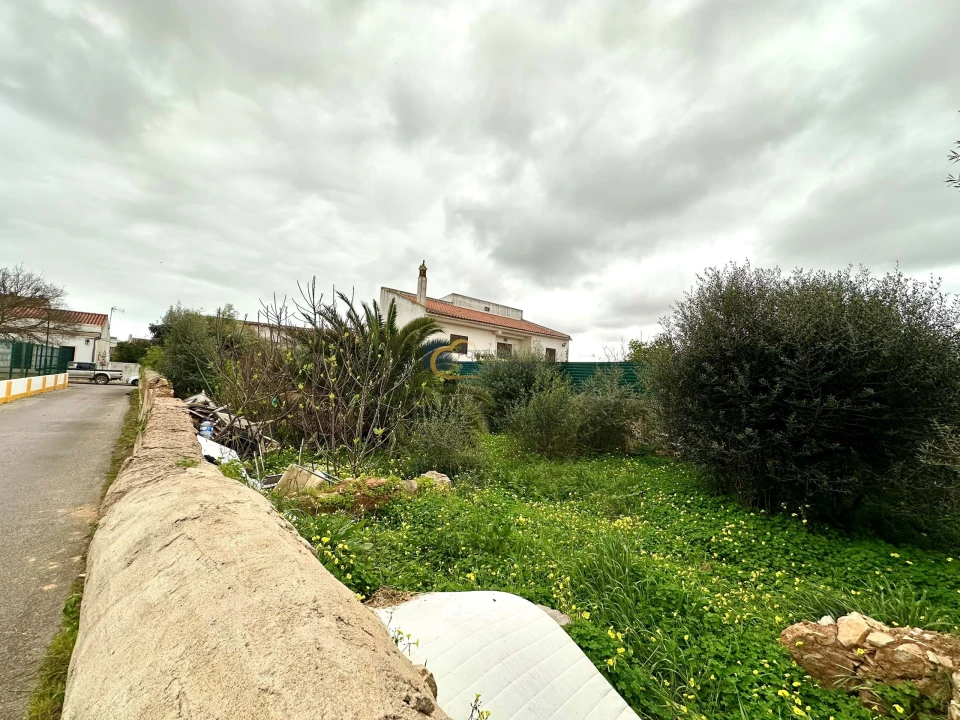 Terreno para Venda em São Silvestre Foto 7