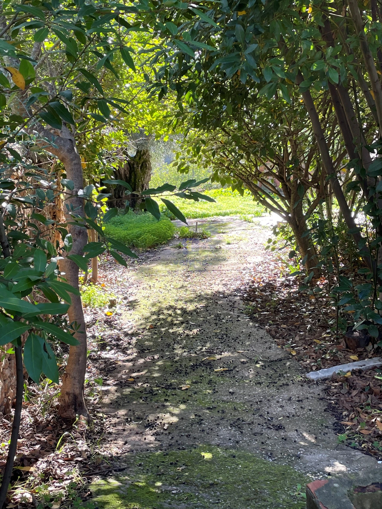 Moradia T4 para Venda em Loule (São Clemente) Foto 3