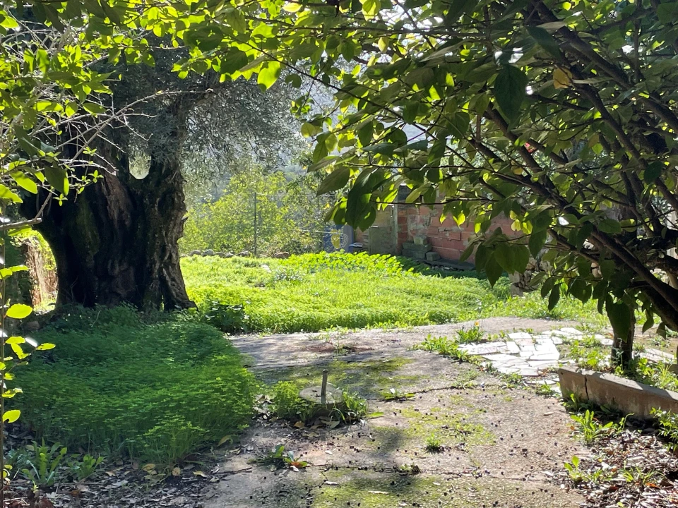 Moradia T4 para Venda em Loule (São Clemente) Foto 25