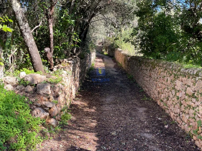 Moradia T4 para Venda em Loule (São Clemente) Foto 21